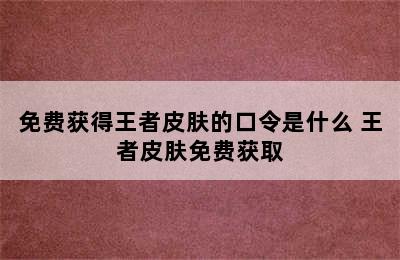 免费获得王者皮肤的口令是什么 王者皮肤免费获取